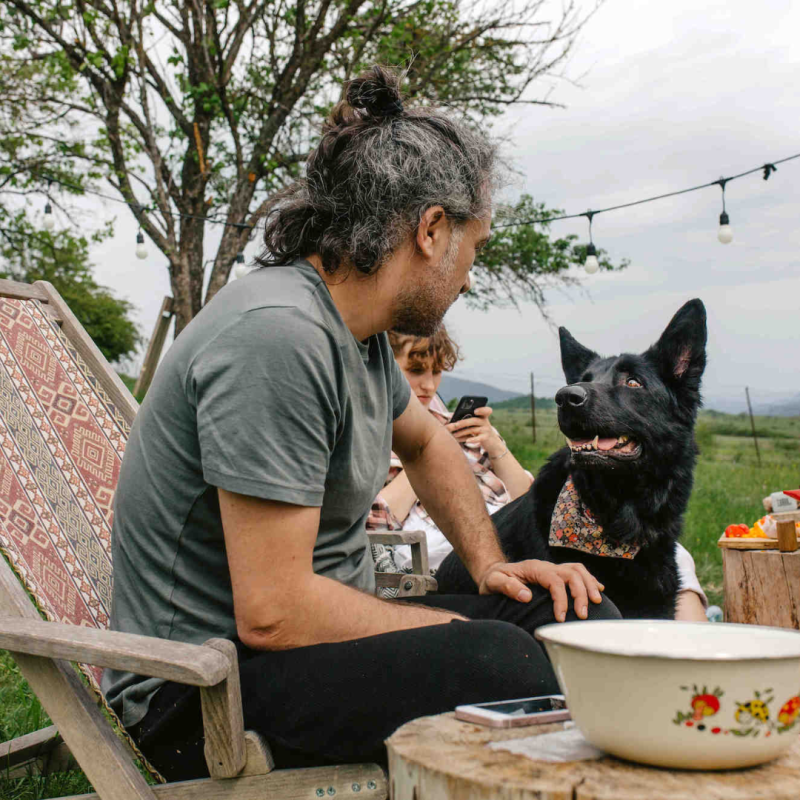 Checklist para viajar con tu perro este verano