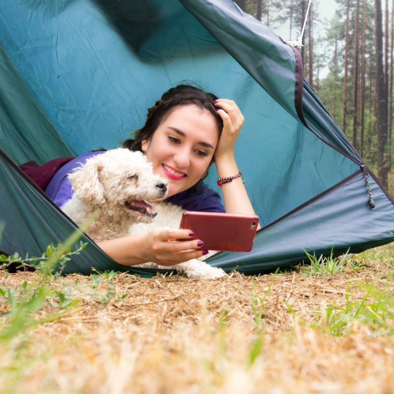 Un día de camping contado desde la perspectiva de tu mascota