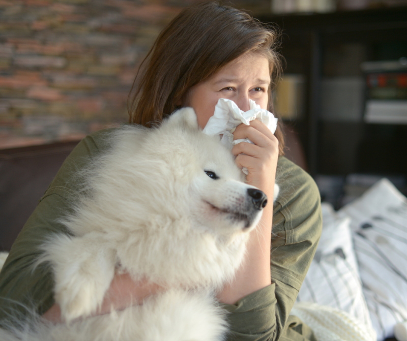 Alergias a los perros: causas, síntomas y tratamientos